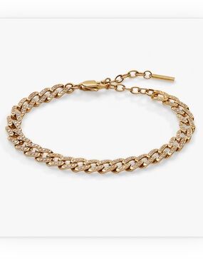 Alex and Ani Crystal Pave Curb Chain Adjustable Bracelet In Gold NWT